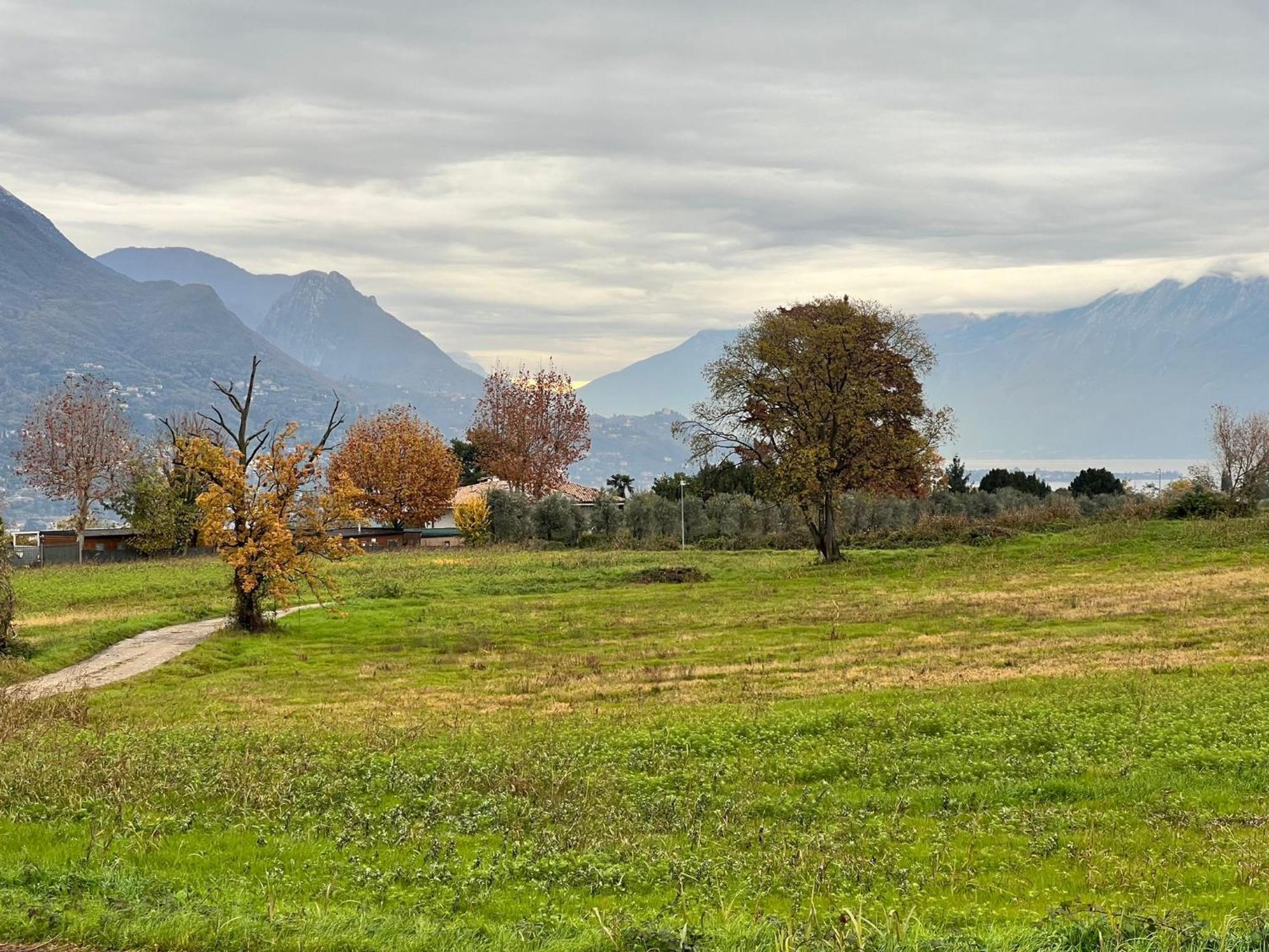 La Finestra Sul Garda Dreaming Holidays San Felice del Benaco Bagian luar foto