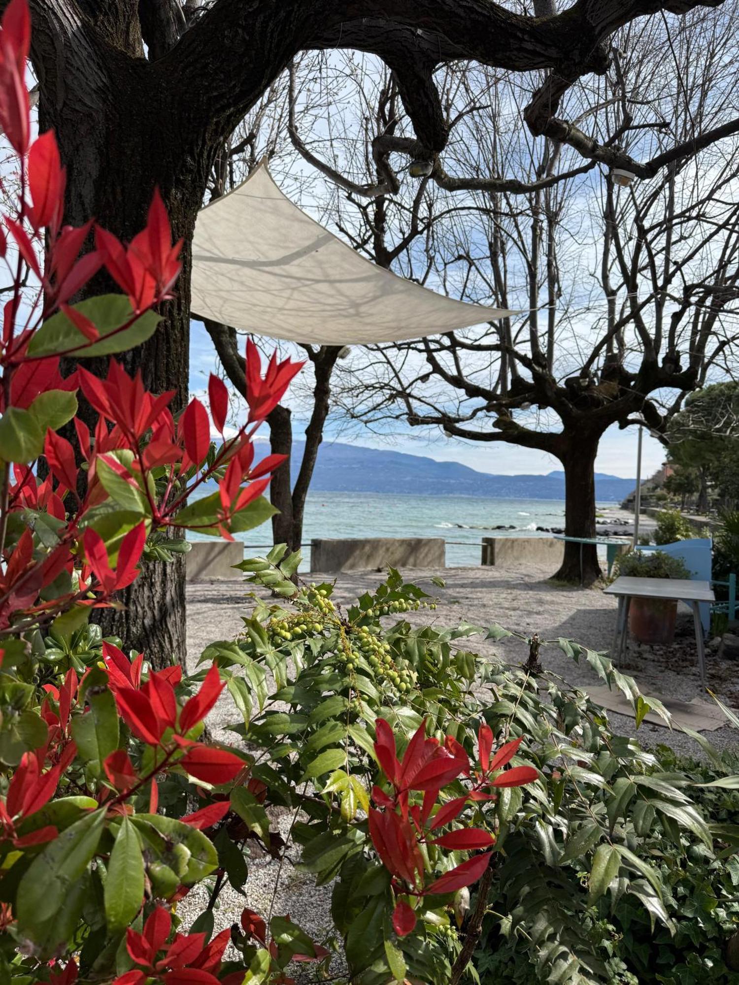 La Finestra Sul Garda Dreaming Holidays San Felice del Benaco Bagian luar foto